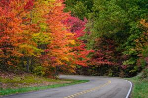 Embrace the Magic of Autumn: A Season of Color and Celebration